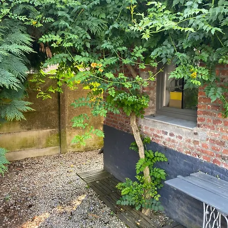 Wolf's Apartament